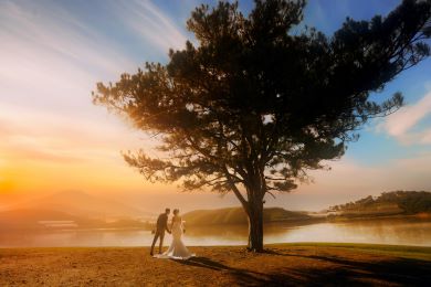 couple kissing under tree