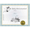 Baby Announcement Certificate